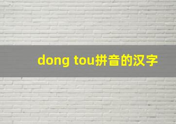 dong tou拼音的汉字